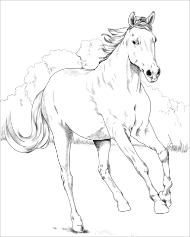 Mustang Mare Coloring Page